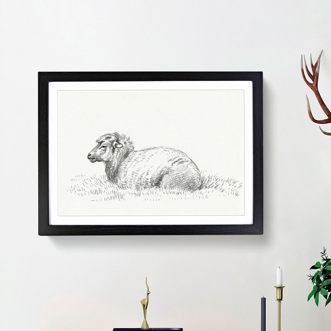 Lying Sheep by Jean Bernard - Framed Print