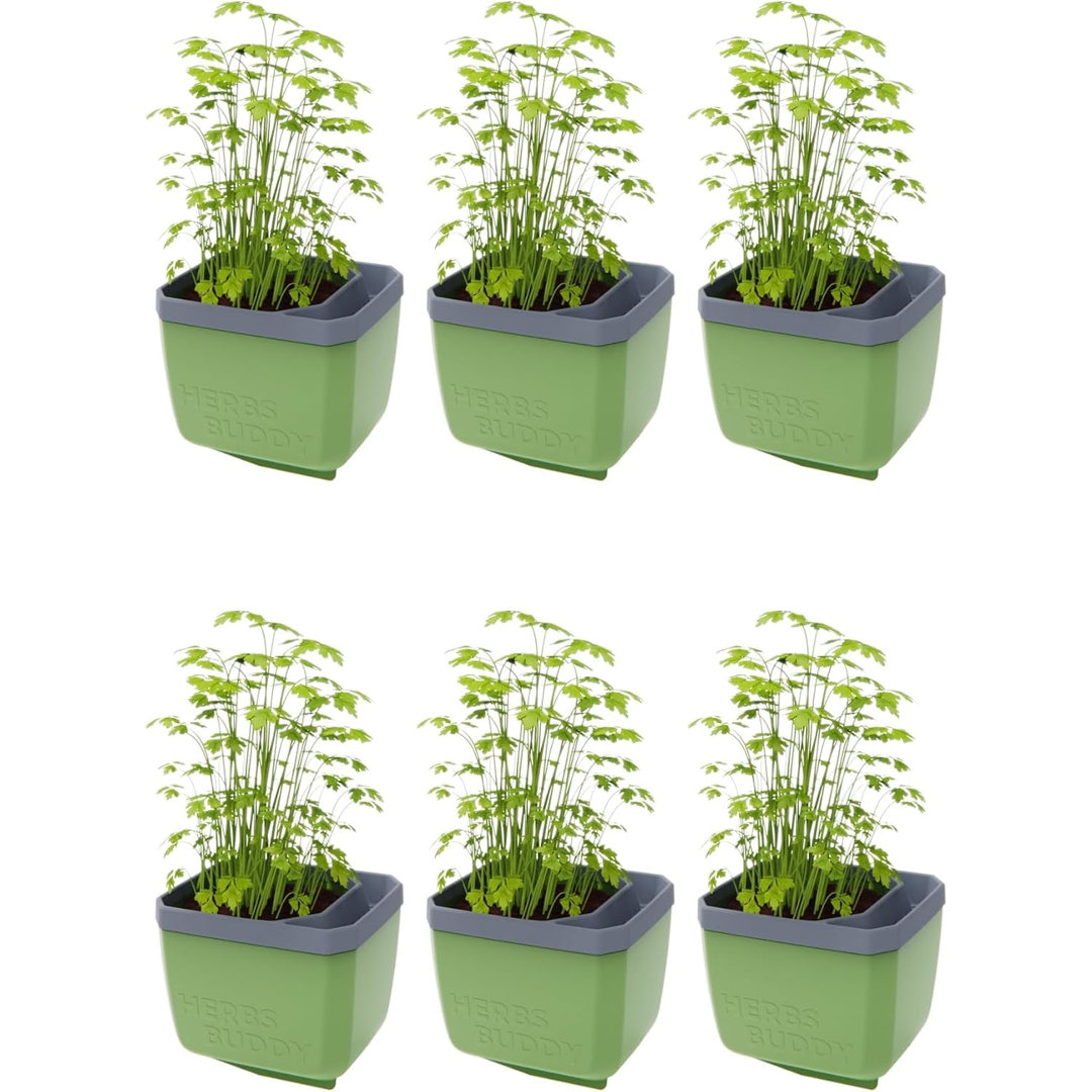 Herbs Buddy Self-Watering Planter Pot for Herbs, Special Water Level Indicator
