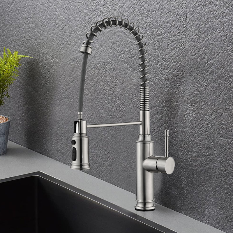 Robinet de cuisine à poignée simple avec accessoires WERFY, Nickel brossé