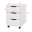 50cm Wide 3 -Drawer Mobile File Cabinet