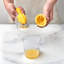 Tovolo Citrus Reamer with Seed Catcher