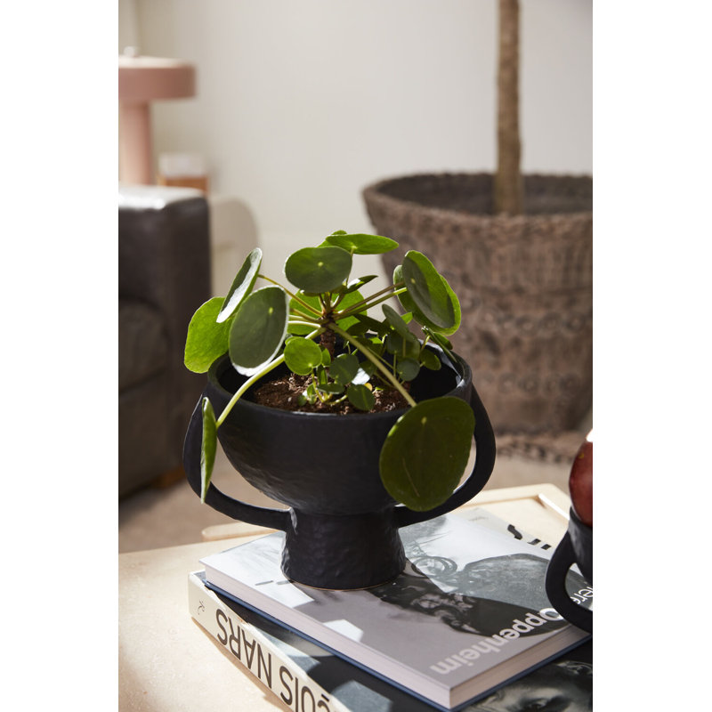 Aneyda Ceramic Table Vase