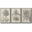 Fresco Crown Imperial II 3 pièces-97795113-97795111