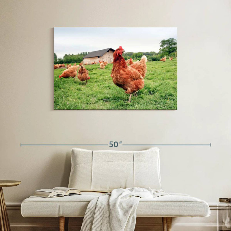 Chicken In The Farm