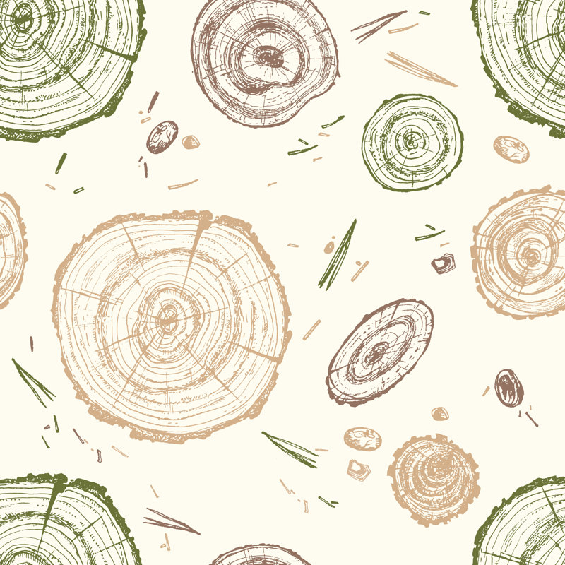 Vector Pine Tree. - Wrapped Canvas Print, 30cm H x 30cm W