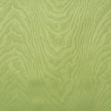 Animal Print Fabric