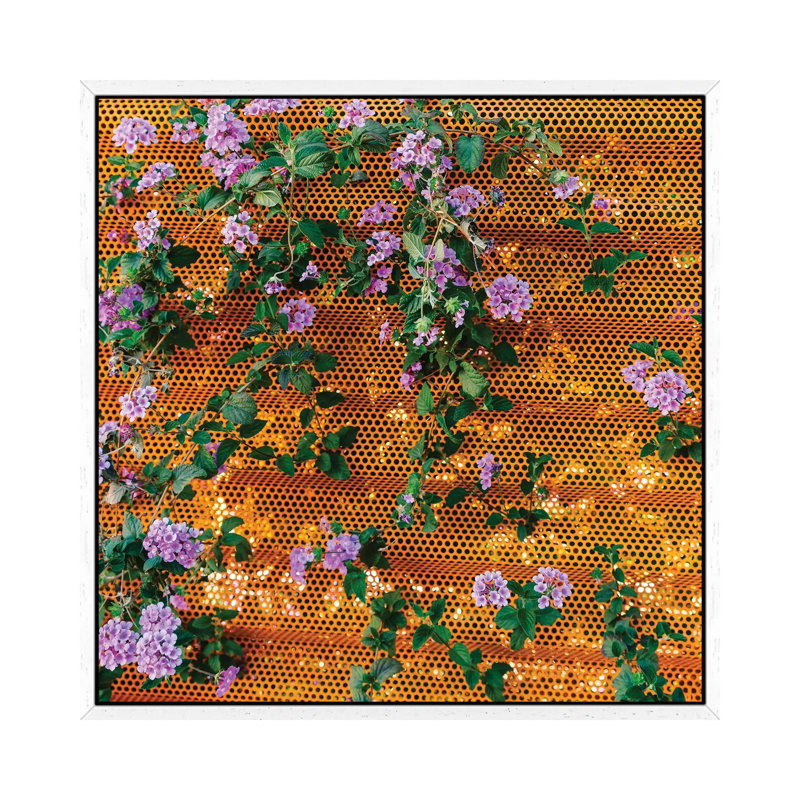 Palm Springs Blooms II by Bethany Young - Print on Canvas, White Framed, 45.72cm H x 45.72cm W x 3.81cm D