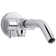 Showerarm with 3-Way Diverter