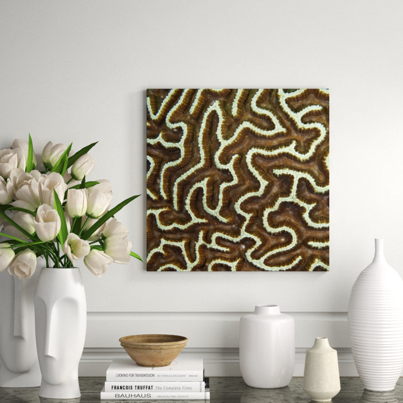 Underwater Beauty VII Print by Austin Beiv, 36" H x 36" W x 1.5" D, Matte