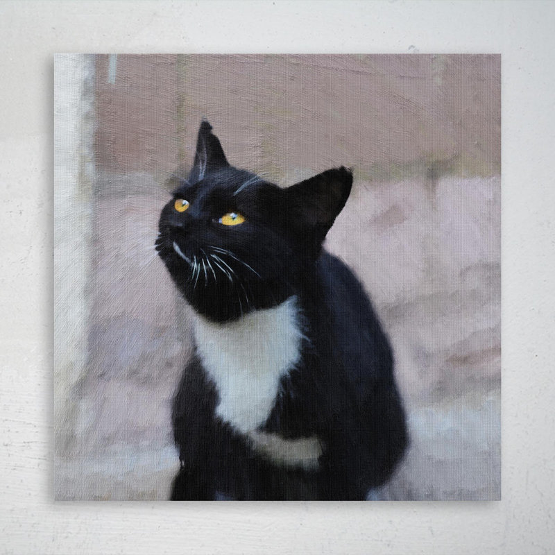 Tuxedo Cat Sitting On Floor - 1 pièce, impression carrée sur toile tendue, L 32 po x H 32 po