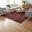 Tapis rouge / ivoire Samford-24492032