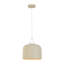 1 - Light Pendant