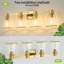 Luminaire de meuble-lavabo moderne à intensité variable Milasia avec abat-jour en verre transparent conique-1753623074-1757438198