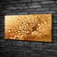 Dandelion - No Frame Print on Canvas