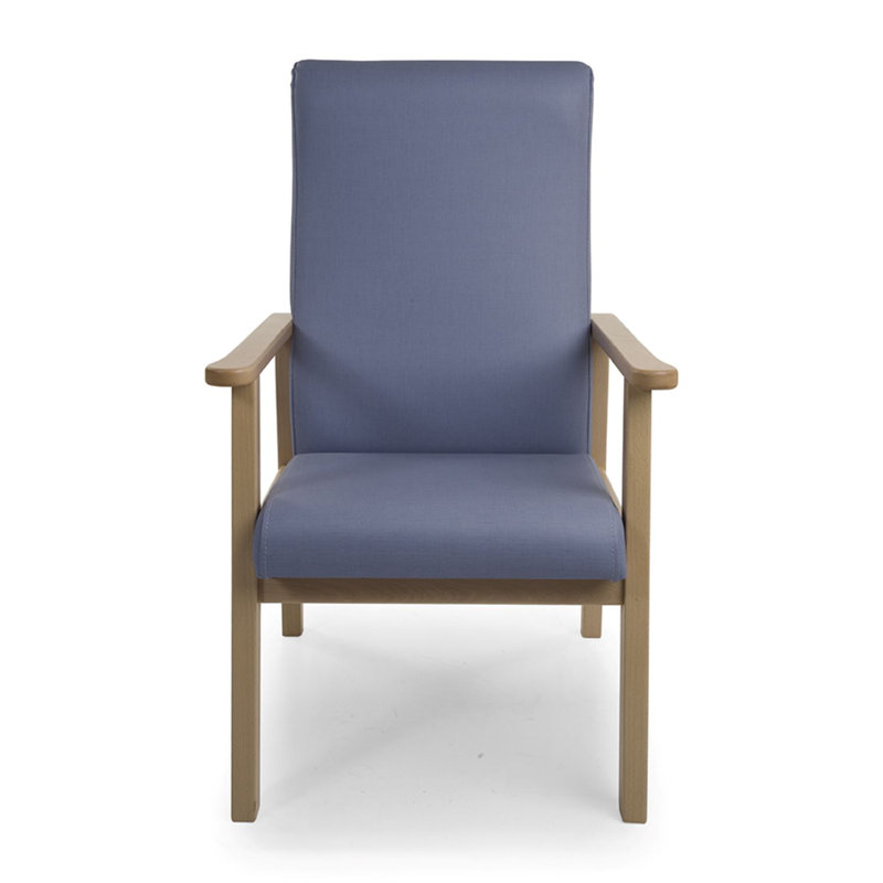 Anshul Upholstered Armchair