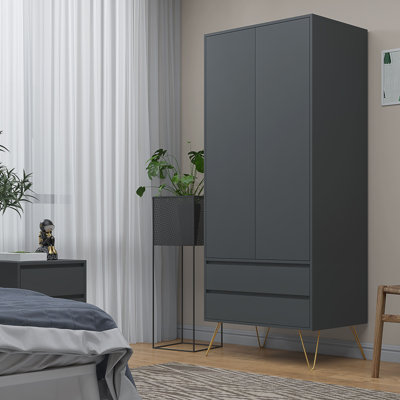 Aanika Manufactured Wood Wardrobe