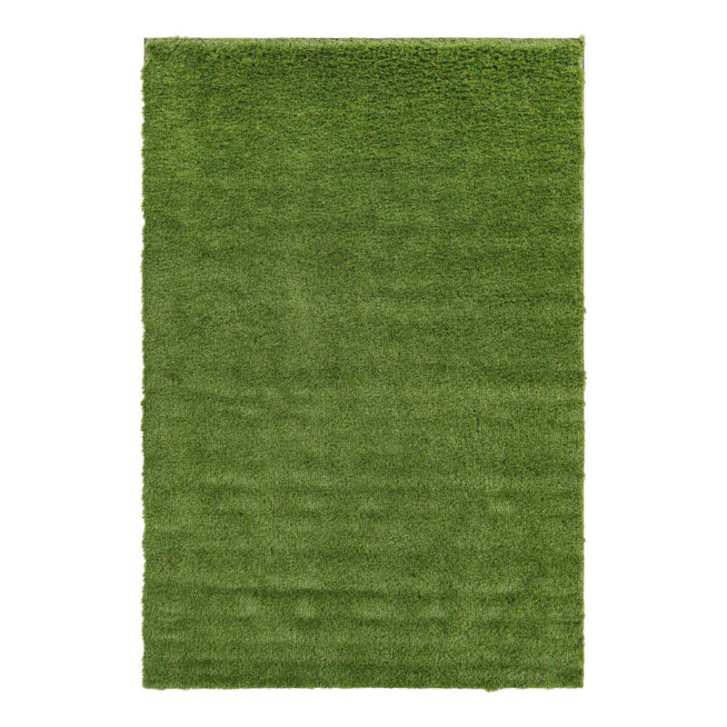 Tapis intérieur / extérieur Cathlyn, Rectangle 6 pi 1 po x 9 pi