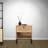 Azucena End Table with Storage