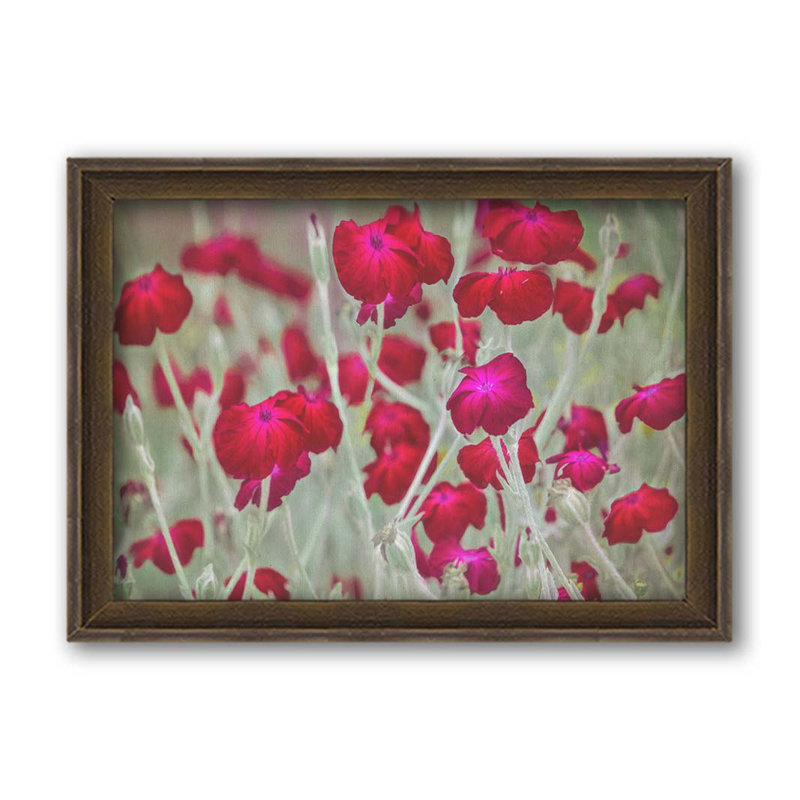 Memories of Provence par Hal Halli. Impression sur papier - Montée et encadrée, H 34 po x l 44 po