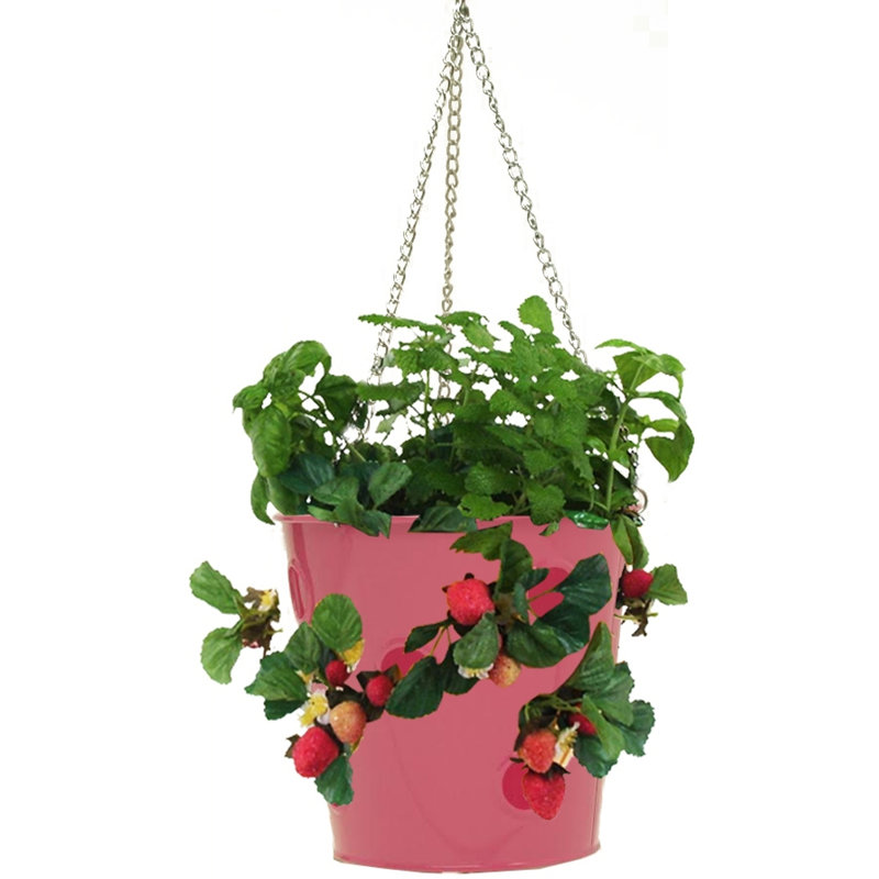 Pot de fleurs suspendu en acier Alasdair, Rose vif