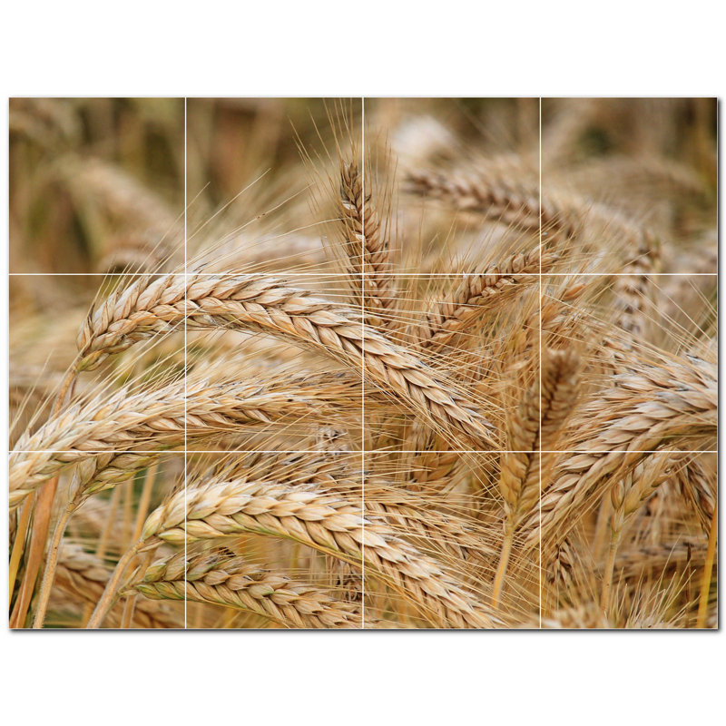Photo de ferme 8 x 8