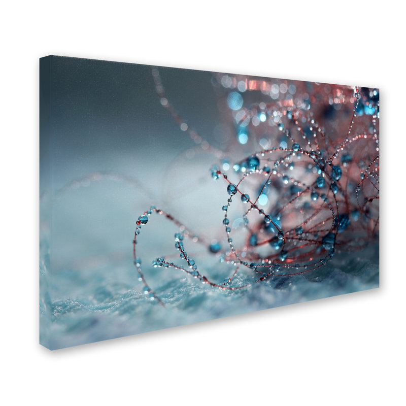 « blue silence », reproduction de photo sur toile tendue, H 16 po x l 24 po x P 2 po