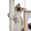 Stonecrest 35'' H Cat Tree-1293015650