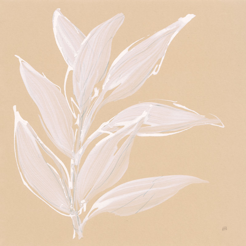 Leaf Study II by Chris Paschke - Wrapped Canvas Painting, 51cm H x 51cm W x 3.8cm D