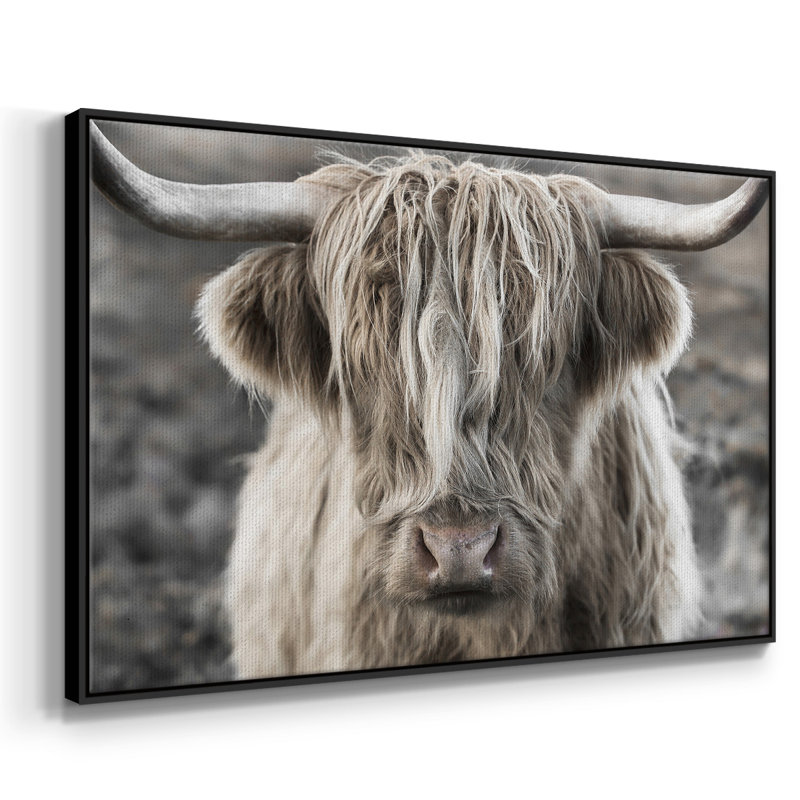 " Highland Skye ", 17" H x 25" W x 2" D, Black Framed