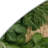 Botanical Green Indoor and Outdoor Area Rug-377976128