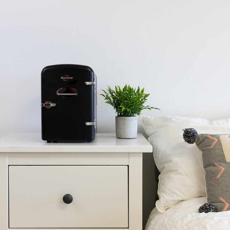 Compact Black Retro Portable Mini Fridge for RV