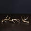 Western Candlestick-1108789228