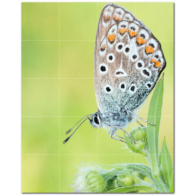 8'' x 8'' Satin Ceramic Decorative Mural