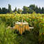 Sunflower Handmade Floral Tablecloth-836806980-836806981
