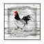Farmhouse Collage Rooster by Carol Robinson - Floater Frame Print on Canvas-1953133839-1953133838