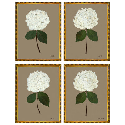 Pressed Hydrangea Framed Set