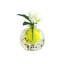 Nancy European Art Glass Vase Yellow
