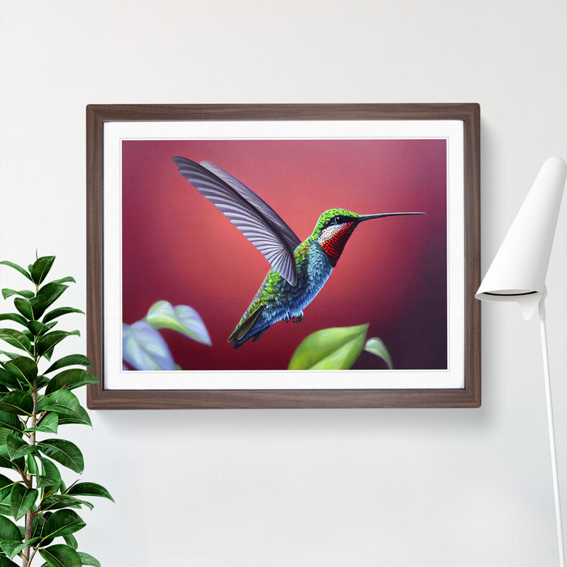 Charming Hummingbird - Single Picture Frame Print, 46cm H x 64cm W x 2cm D, Walnut