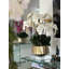 Helena Boat Planter With Phaleanopsis Orchids-387316226