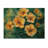 Summers Wildflowers In Tones III - Wildflowers Wood Wall Decor - On Natural Pine Wood-993303175