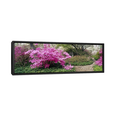 " Azalea Flowers In A GardenGarden Of Eden, Ladew Topiary Gardens, Monkton, Baltimore County, Maryland, USA " by Panoramic Images