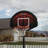 Lifetime Height Adjustable Portable Basketball Hoop (32" Impact Backboard)