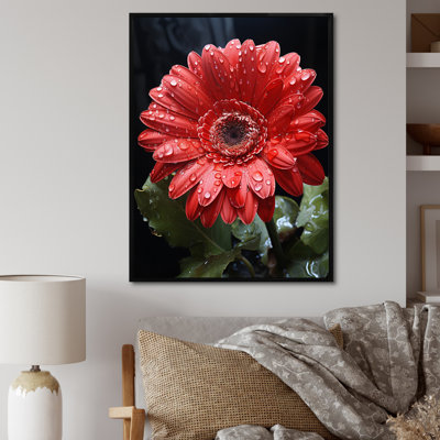 " Red Daisiy Flowers I "