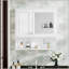 W H Medicine Cabinet Mirror