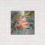 «Sweet Mexico» par St. Hilaire Elizabeth-699952615
