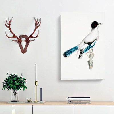 Almorah Jay - Wrapped Canvas