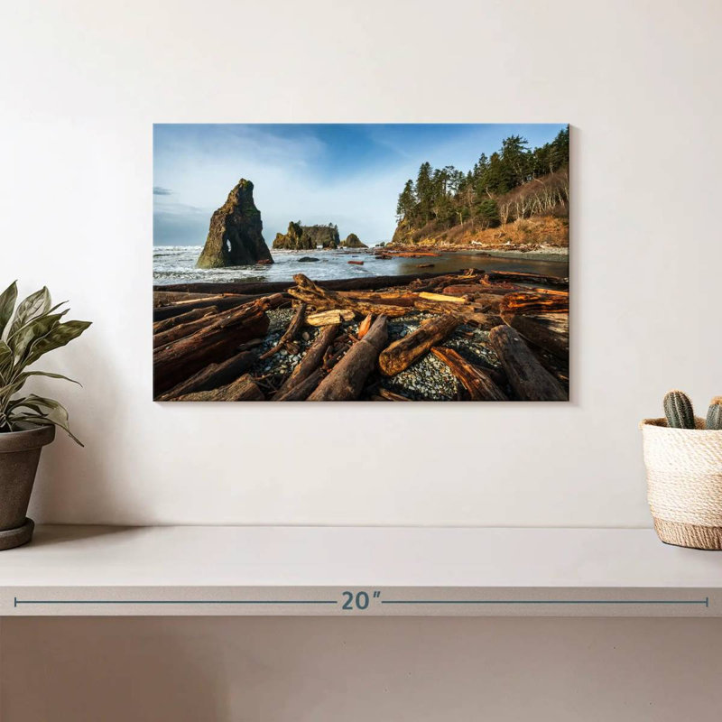 Bois flottant Alvord Ruby Beach, H 8 po x l 12 po