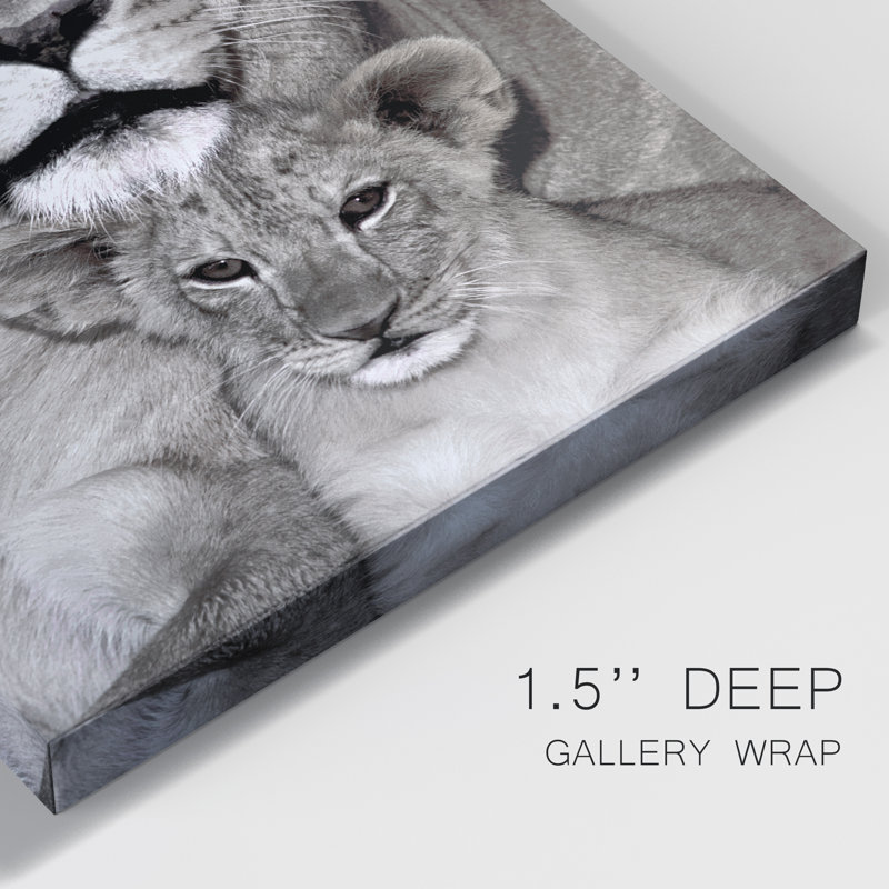 Lionne and Cub - photographie sur toile tendue, H 60 po x l 40 po x P 1 po