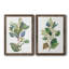 «Seeded Eucalyptus I», ensemble de 2 reproductions d'art sur toile-1047157795-1047157798