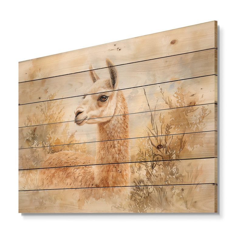 Portrait de lama en forêt II - impression moderne sur bois de pin brun naturel, H 34 po x l 44 po